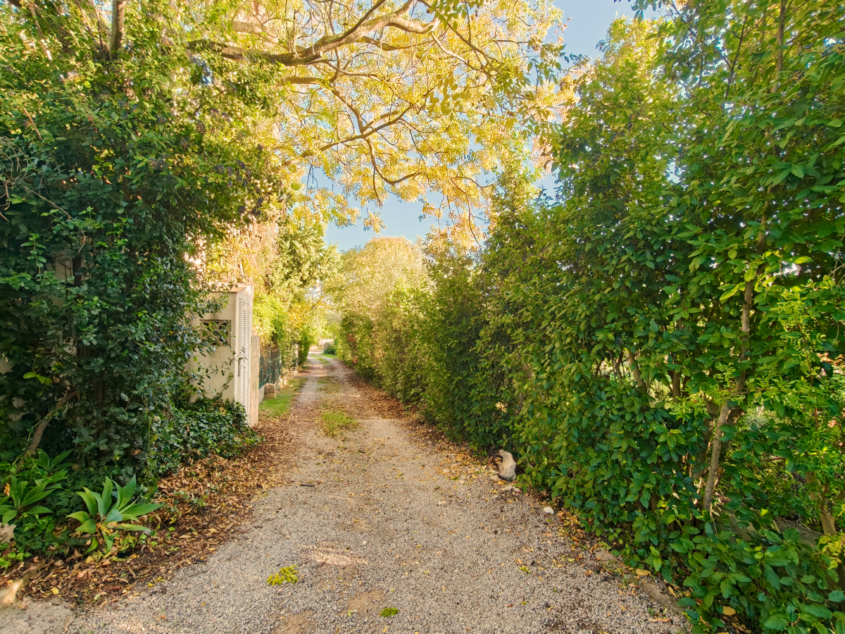 Charming Villa for sale in Pollença with Touristic Rental License