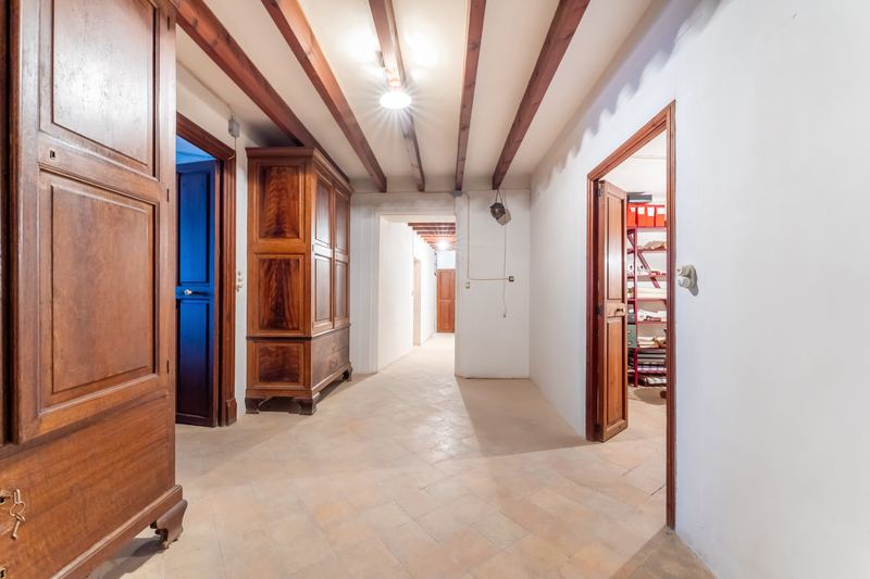 Great Investment: Spacious House and plot for sale in Sineu