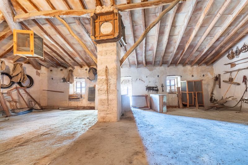 Great Investment: Spacious House and plot for sale in Sineu