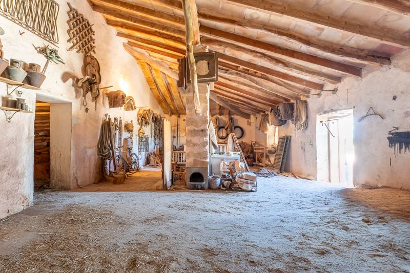 Great Investment: Spacious House and plot for sale in Sineu
