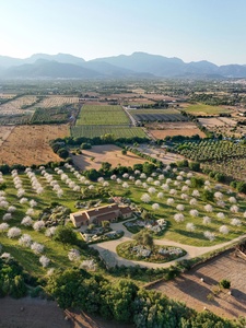 Mallorca_finca_for_sale_Landhaus_Country_House_Verkaufen_Binissalem3.jpg