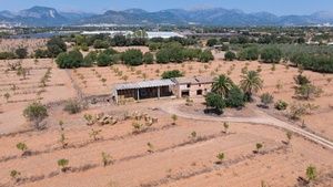 Benissalem-01.jpg