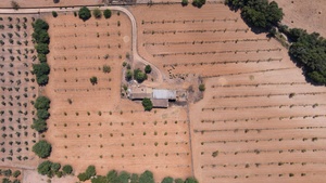 Benissalem-09.jpg