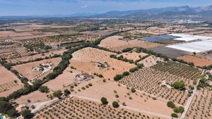 Benissalem-10.jpg