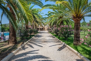 Mallorca_finca_sale_sell_buy_kaufen_Binissalem_30.jpg
