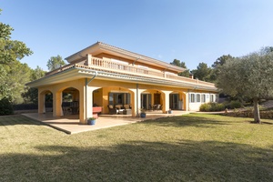 Davinia Caldes - Estellencs-17.jpg