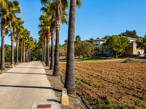 Mallorca_finca_forsale_algaida_6.png