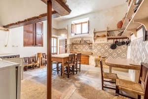 Mallorca_house_sale_investment_sineu_16.jpg