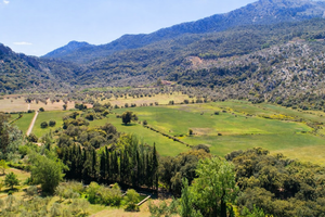 Mallorca_finca_sale_vercaufen_escorca_19.jpeg